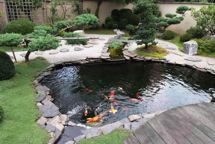 Cách Làm Trong Nước Hồ Cá Xi Măng