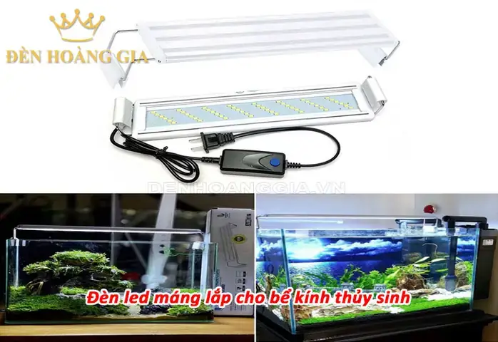 Cách Lắp Đèn Led Cho Bể Cá Cách Lắp Đèn Led Cho Bể Cá
