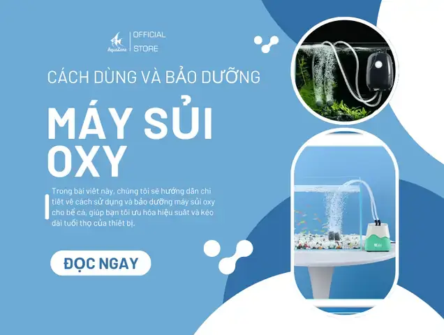 Cách Lắp Máy Sủi Bể Cá