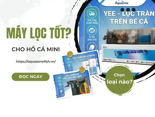 Cách Lắp Ráp Máy Lọc Nước Hồ Cá Mini