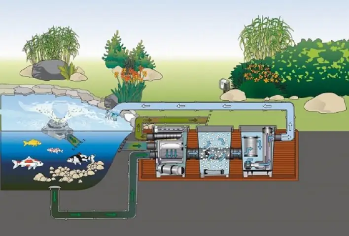Cách Lọc Nước Hồ Cá Koi Cách Lọc Nước Hồ Cá Koi