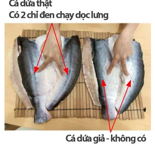 Cách Nhận Biết Cá Dứa Cách Nhận Biết Cá Dứa