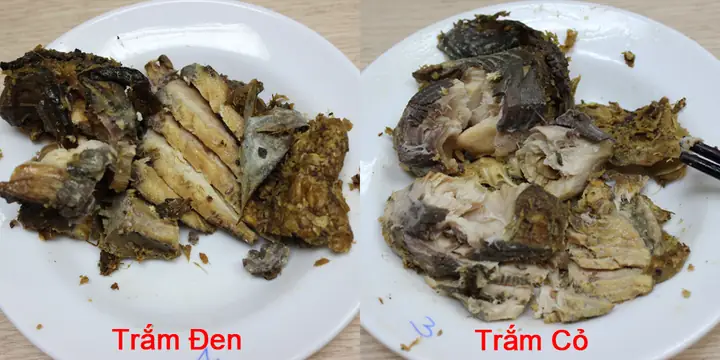Cách Nhận Biết Cá Trắm Đen