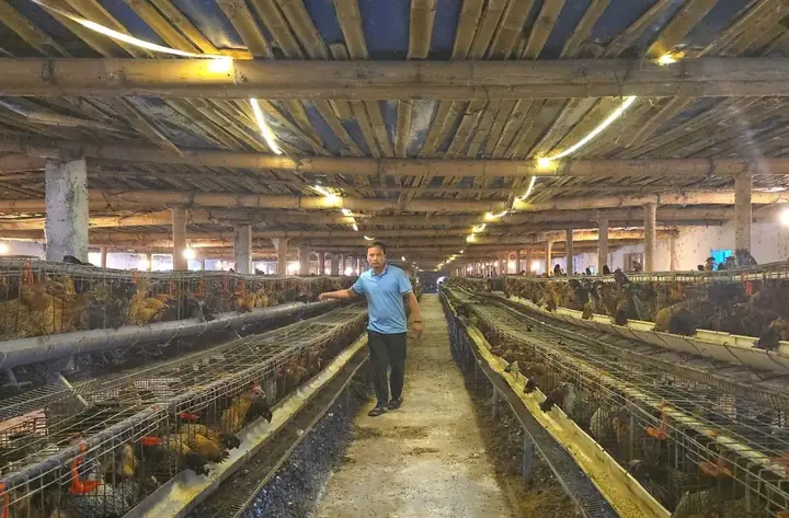 Cách Nuôi Cá Chọi Qua Mùa Đông Cách Nuôi Cá Chọi Qua Mùa Đông