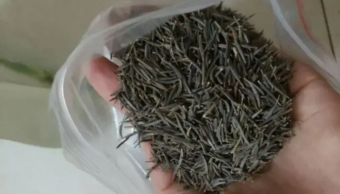 Cách Nuôi Cá Hạc Đỉnh Hồng