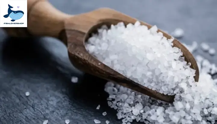 Cách Pha Muối Cho Bể Cá Nước Mặn