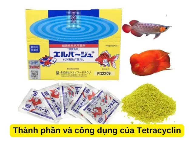 Cách Sử Dụng Tetracyclin Cho Cá