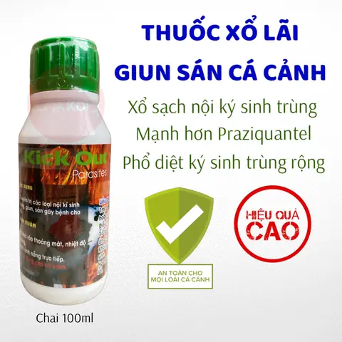 Cách Tẩy Giun Cho Cá Koi