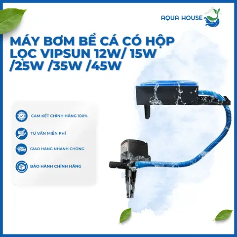 Cách Tháo Máy Bơm Bể Cá