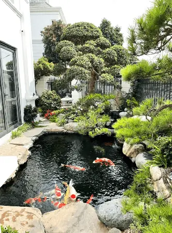 Cách Thiết Kế Bể Cá Cảnh