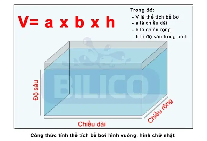 Cách Tính Thể Tích Nước Hồ Cá
