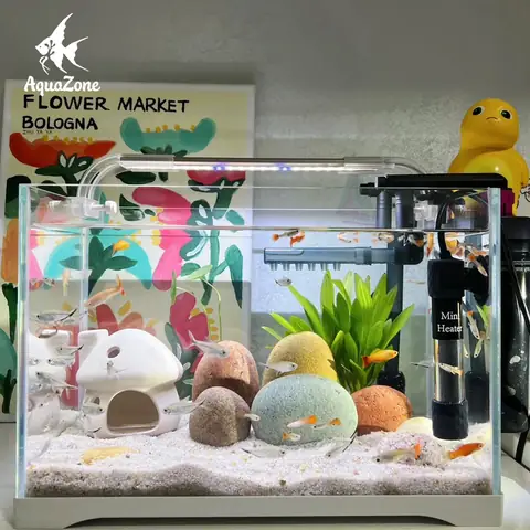 Cách Trang Trí Hồ Cá Kiểng Cách Trang Trí Hồ Cá Kiểng