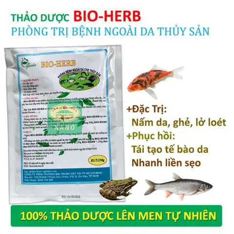 Cách Trị Cá Bị Ghẻ