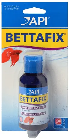 Cách Trị Nấm Cá Betta