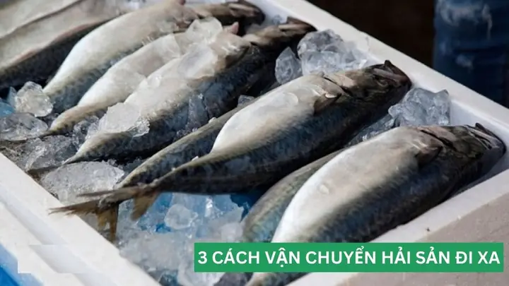Cách Vận Chuyển Cá Đi Xa