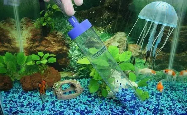 Cách Vệ Sinh Bể Cá Mini