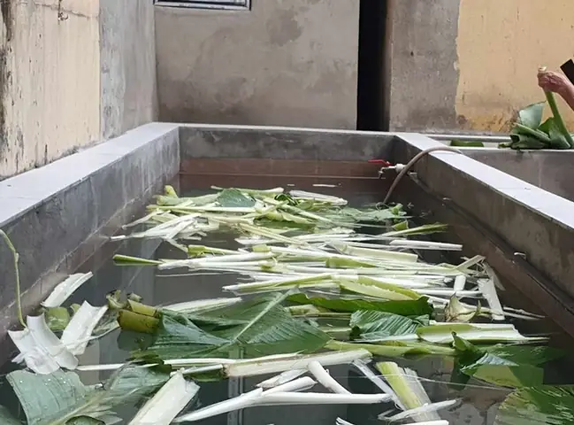 Cách Xây Bể Nuôi Cá