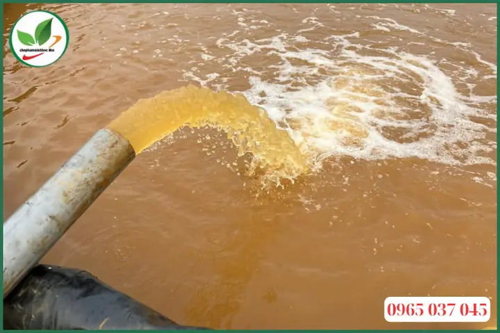 Cách Xử Lý Nước Phèn Nuôi Cá