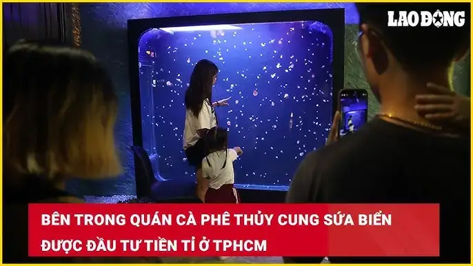 Cafe Cá Cảnh Tphcm Cafe Cá Cảnh Tphcm
