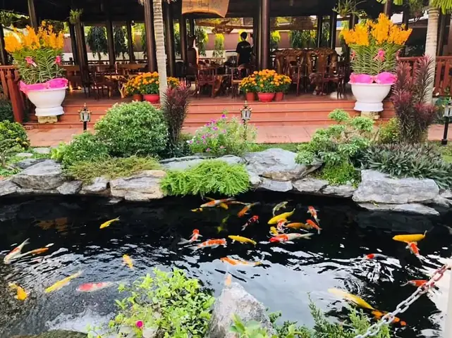 Cafe Cá Koi Củ Chi Cafe Cá Koi Củ Chi