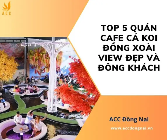 Cafe Cá Koi Đồng Xoài