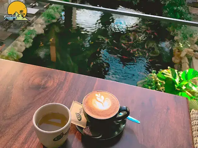 Cafe Cá Koi Gia Lai Cafe Cá Koi Gia Lai