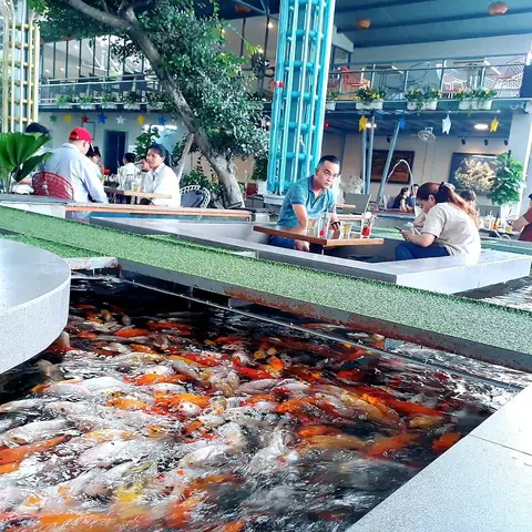 Cafe Cá Koi Tô Ký
