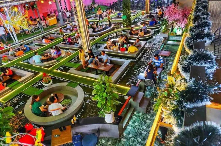 Cafe Cá Koi Vũng Tàu Cafe Cá Koi Vũng Tàu