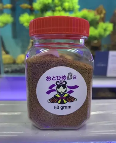 Cám B2 Cho Cá Bảy Màu Cám B2 Cho Cá Bảy Màu
