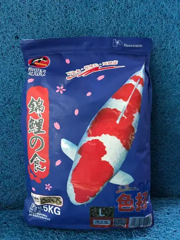 Cám Cá Koi Porpoise