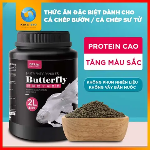 Cám Cho Cá Chép Cám Cho Cá Chép