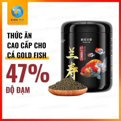 Cám Cho Cá Ranchu Cám Cho Cá Ranchu
