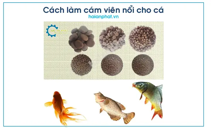 Cám Viên Nuôi Cá Cám Viên Nuôi Cá