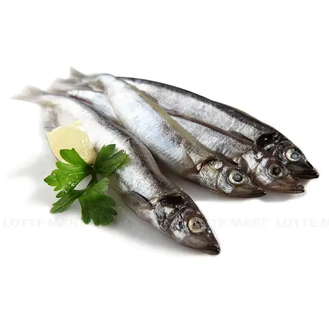 Capelin Là Cá Gì