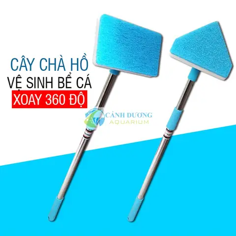Cây Vệ Sinh Hồ Cá Cây Vệ Sinh Hồ Cá