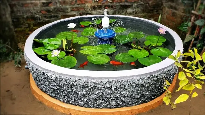 Chậu Cá Xi Măng Chậu Cá Xi Măng