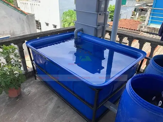 Chậu Nhựa Chữ Nhật Nuôi Cá