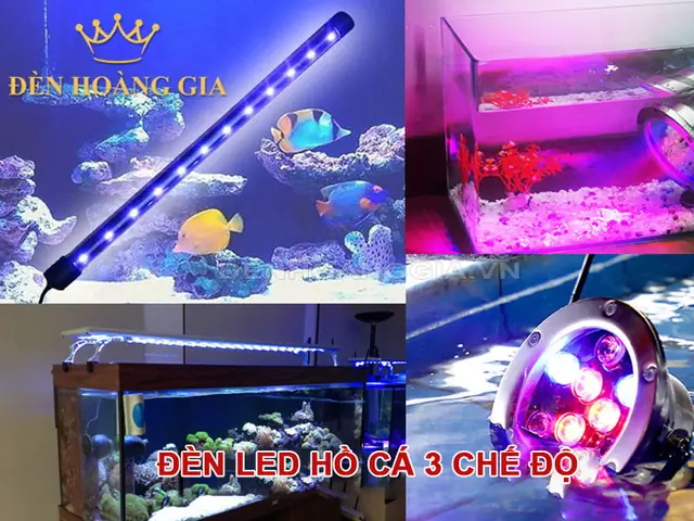 Chế Đèn Bể Cá Chế Đèn Bể Cá