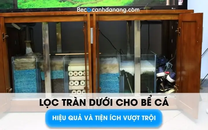 Chế Lọc Tràn Cho Bể Cá