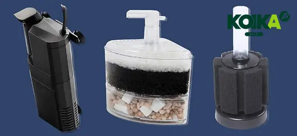 Chế Lọc Vi Sinh Cho Bể Cá Chế Lọc Vi Sinh Cho Bể Cá