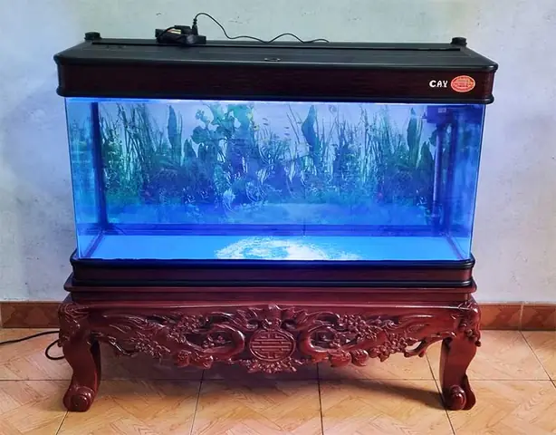 Chiều Cao Chân Bể Cá