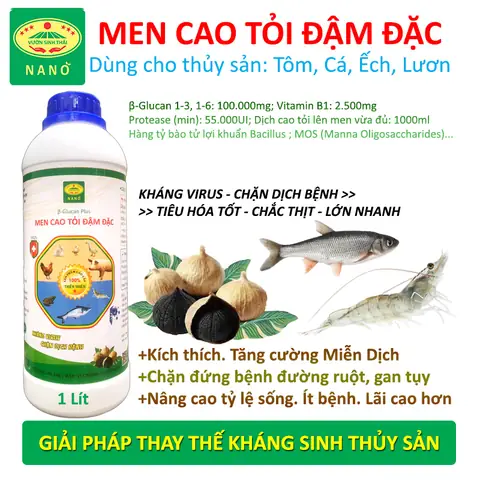 Cho Cá Ăn Tỏi