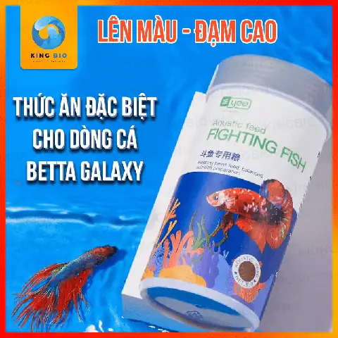 Cho Cá Betta Ăn Cám Cho Cá Betta Ăn Cám
