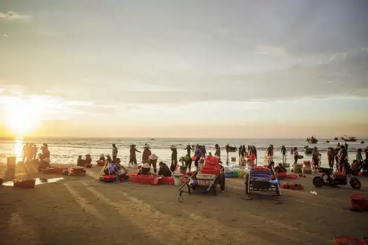 Chợ Cá Cảnh Bình Dương Chợ Cá Cảnh Bình Dương