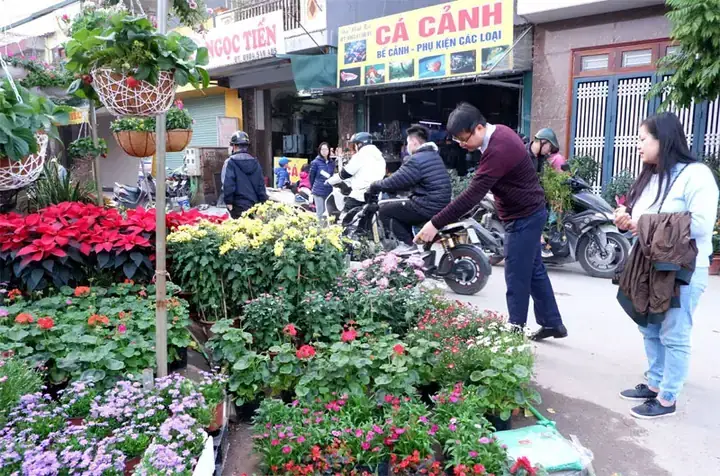 Chợ Cá Cảnh Vạn Phúc