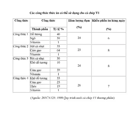 Cho Cá Chép Ăn Bao Nhiêu Là Đủ