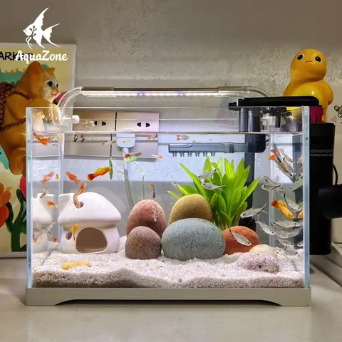 Chọn Máy Bơm Cho Bể Cá