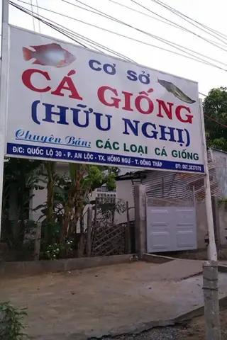 Cơ Sở Bán Cá Giống Cơ Sở Bán Cá Giống