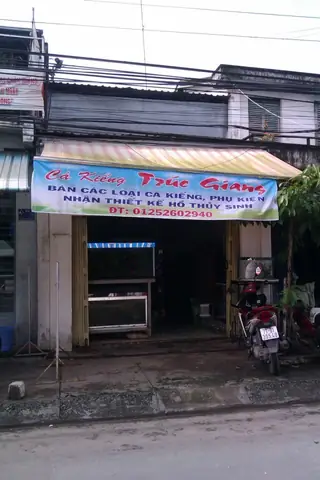 Cơ Sở Cá Kiểng Trúc Giang Cơ Sở Cá Kiểng Trúc Giang
