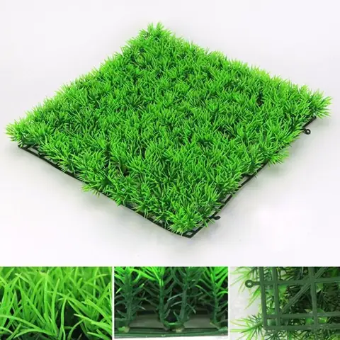 Cỏ Trang Trí Hồ Cá Cỏ Trang Trí Hồ Cá